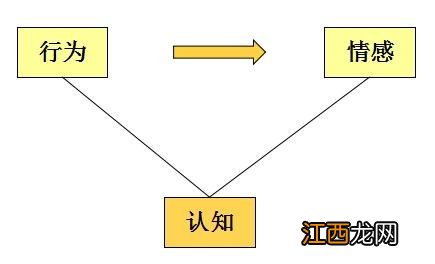 情感教学的三个理论 情感理论，理论网