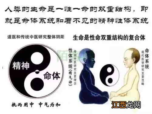 粥一一舌尖上的养生佳品与五谷渊源