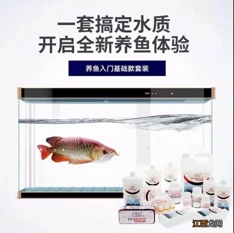 上市4月代理超百家,这家英国水族品牌的【王牌】是?