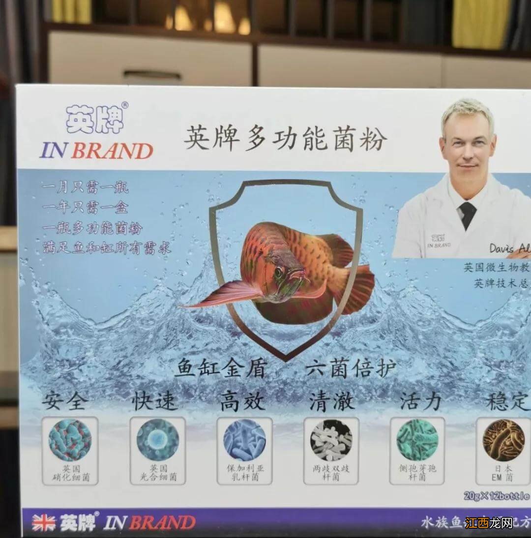 上市4月代理超百家,这家英国水族品牌的【王牌】是?