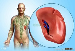 健康爱好者注意：中医分享一个健康脾胃四季调养法，大家别错过