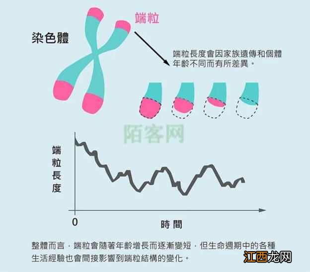 有实例有真相，运动就是养生抗衰老，不运动则是对身体的犯罪