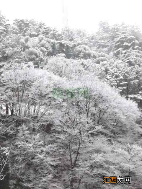 冬日攻略：周末到英山这处冬游胜地，体验滑雪泡温泉的双重快乐