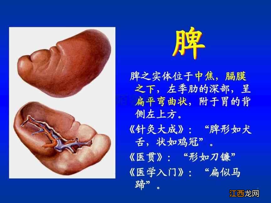 你脾虚了吗？中医教你如何调理？