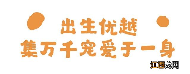 甘栗仁是什么颜色？甘栗仁如何介绍，技巧全在这里了！