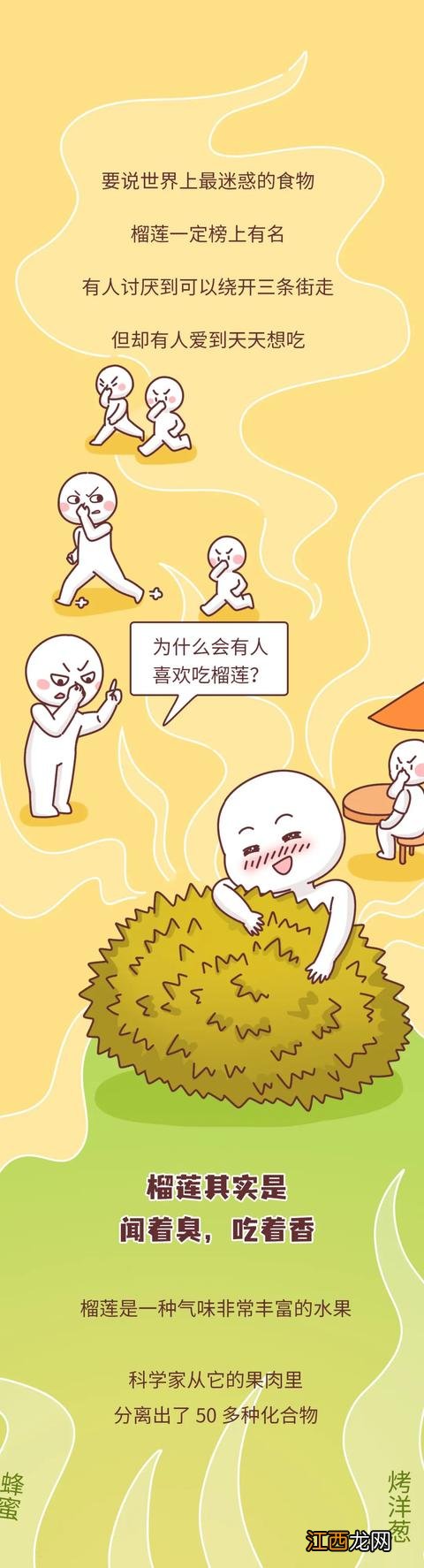 榴莲有什么营养成分吗？榴莲的营养成分及图片，讲解详细，快看