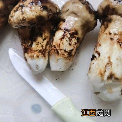 龙骨汤放什么材料好喝？什么材料炖龙骨汤，很赞的一篇文章