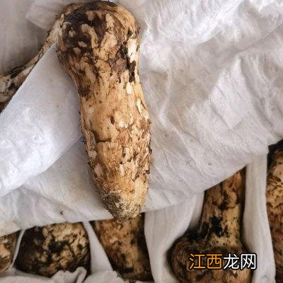 龙骨汤放什么材料好喝？什么材料炖龙骨汤，很赞的一篇文章