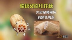 中医吃莲藕要禁忌什么食物？莲藕和哪些食物相冲，此文观点值得一看