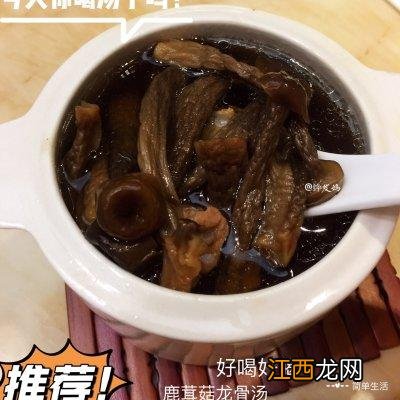 龙骨汤里面的龙骨是什么？龙骨炖汤放什么材料，此文观点值得一看