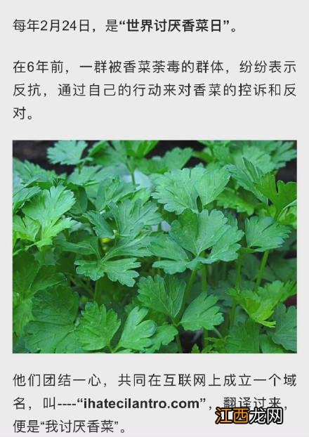 香菜梗是什么意思？香菜梗是什么段子，建议需要听一听