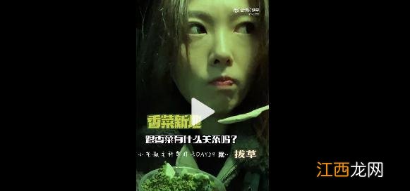 香菜梗是什么意思？香菜梗是什么段子，建议需要听一听