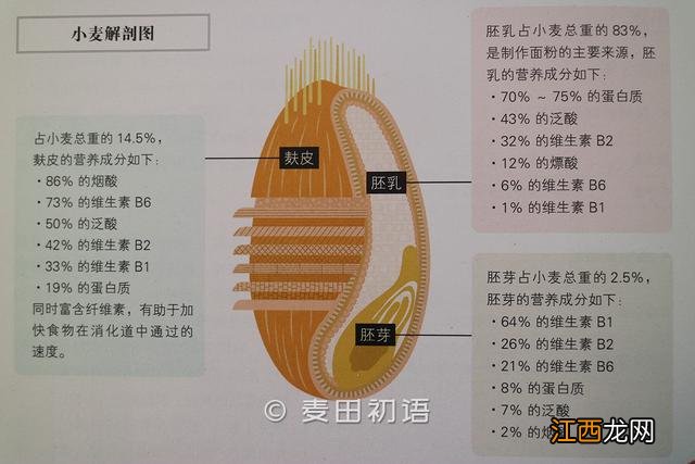 糕点粉是什么面粉？糕点粉，看完就明白了