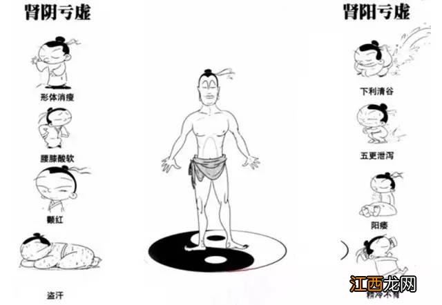 补肾阳虚吃什么东西效果最好？哪些食物补肾阳虚的，看完这段你就明白了