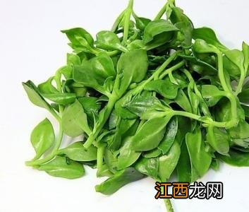 有什么野菜可以降血糖？哪种野菜对血糖有好处，这篇文章说明白了