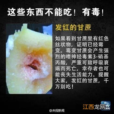 青菜为什么变苦？青菜特别苦怎么回事，很多人没有意识到