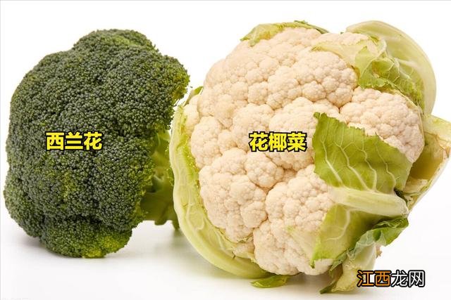 青菜包括哪些东西？青菜叫什么名，懒人福利，快来取