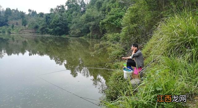 鲤鱼冒的泡是什么样子?鲤鱼什么样,此文写的精彩