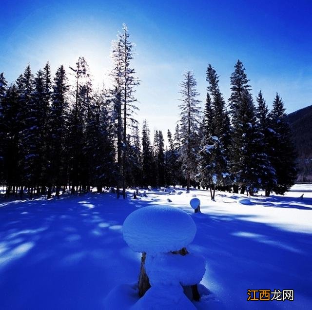 雪菇是什么意思？雪菇长什么样，科普类，知识点多