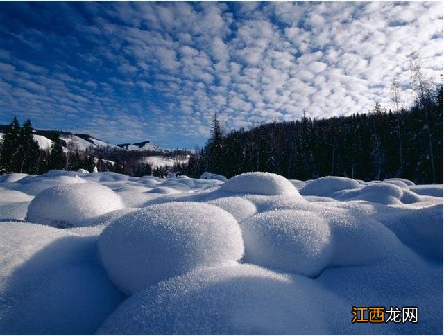 雪菇是什么意思？雪菇长什么样，科普类，知识点多