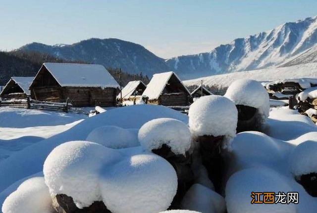 雪菇是什么意思？雪菇长什么样，科普类，知识点多