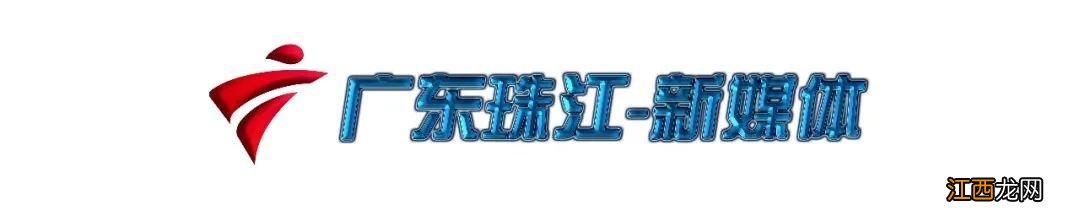 鸡的做法客家？客家农家鸡，关键信息不要忽略