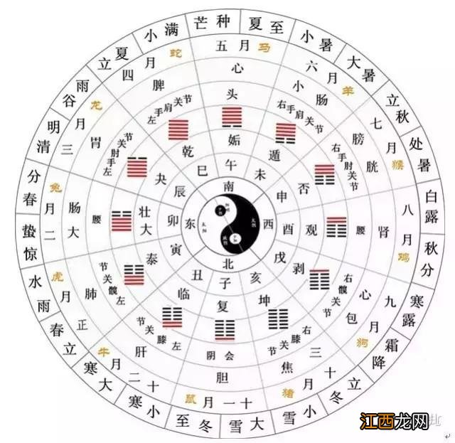 吃什么水果补气血养肝？补脾最好的三种水果，秒懂的科普知识