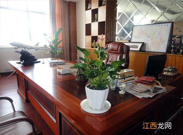 办公桌上放什么摆件好 办公桌上物品的摆放风水禁忌,办公桌上摆件风水