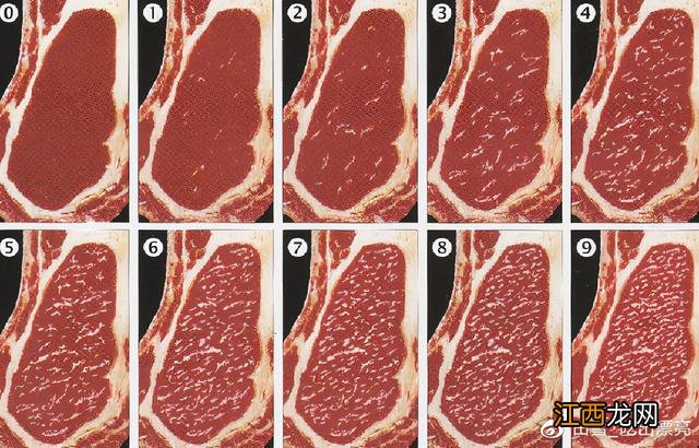 牛肋骨是什么东西？牛肋条与牛肋骨，先看完这篇文章再说