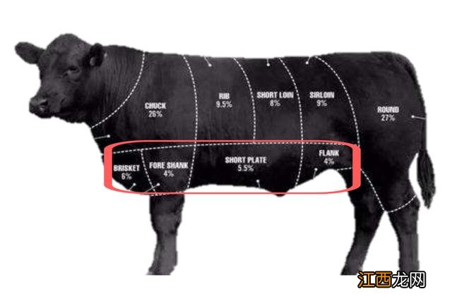 牛肋骨是什么东西？牛肋条与牛肋骨，先看完这篇文章再说