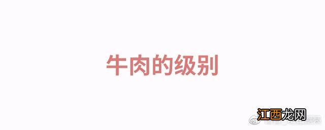 牛肋骨是什么东西？牛肋条与牛肋骨，先看完这篇文章再说