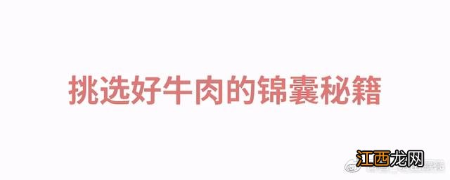 牛肋骨是什么东西？牛肋条与牛肋骨，先看完这篇文章再说