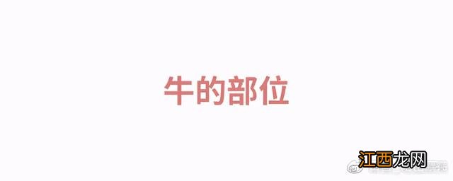 牛肋骨是什么东西？牛肋条与牛肋骨，先看完这篇文章再说