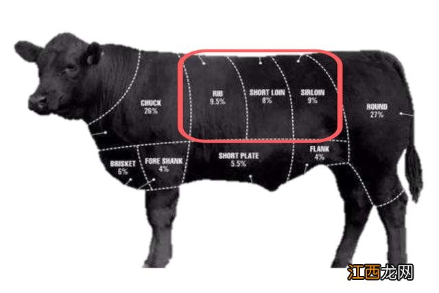 牛肋骨是什么东西？牛肋条与牛肋骨，先看完这篇文章再说