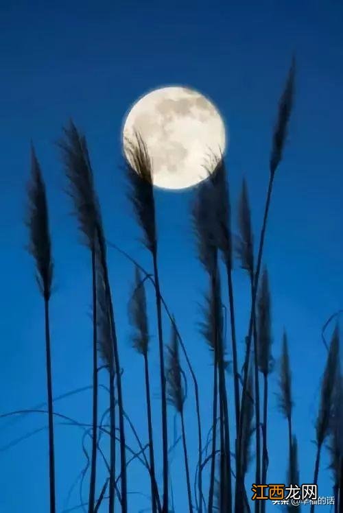 花好月圆的花指的什么花？花好月圆指的哪种花，有深度的文章