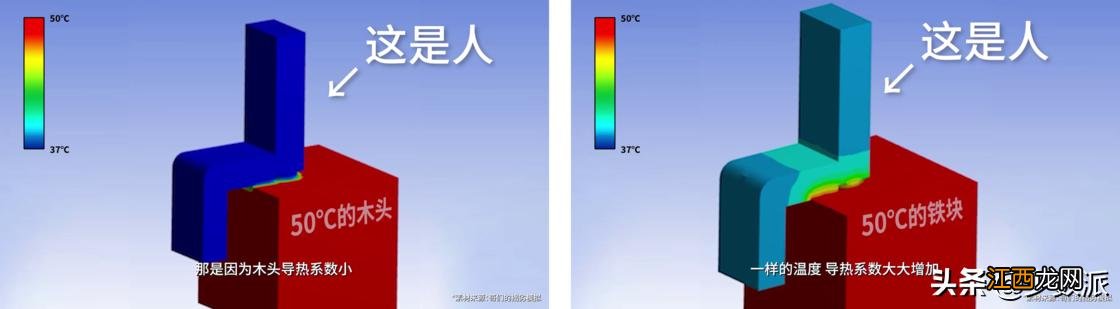 家用烤箱都能做什么东西？家庭小烤箱都能做什么，在线看科普文章