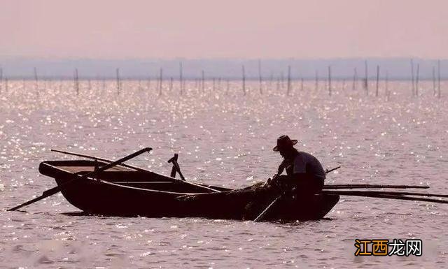 香草油可以用什么代替？什么油能代替千斤顶油，不了解的快到这里来