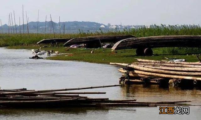 香草油可以用什么代替？什么油能代替千斤顶油，不了解的快到这里来