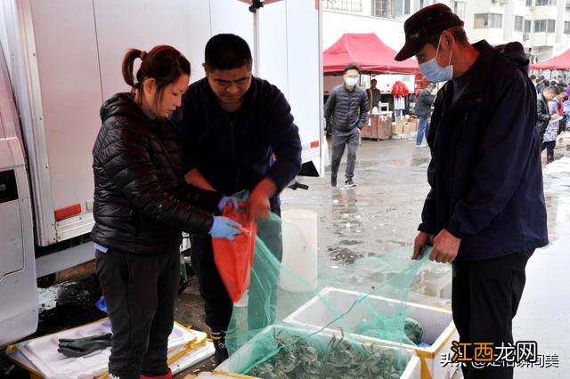 深海虾是什么颜色？深海虾的种类及图片，你还不知道吗？