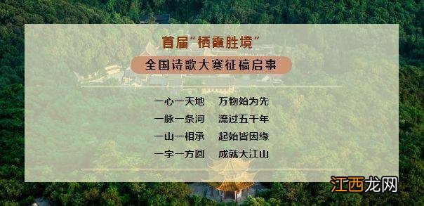 柴叶是什么树的叶子？柴叶照片，这太重要了，快看