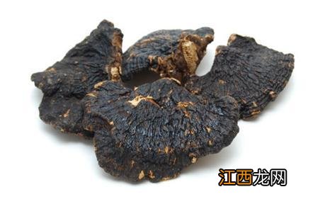 野生灵芝熬水喝有什么功效？灵芝熬水喝治什么，真是实用，好文章