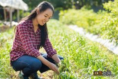 5月种什么蔬菜合适？5月最好种什么菜，当真是好文啊