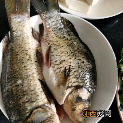 鲫鱼豆腐汤适合用什么豆腐？鲫鱼豆腐汤要放什么，这文章，感觉很不错