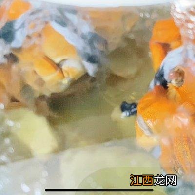 为什么人们喜欢吃大闸蟹？四种人不宜吃闸蟹，简单无难度