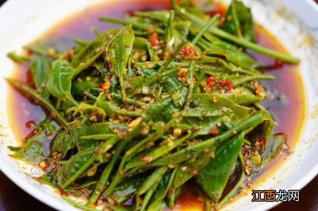 茶叶能种什么菜？茶叶美食100种，看完自然会了解