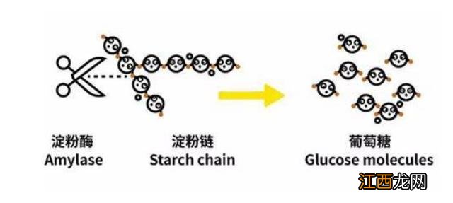 烤白薯什么品种最好？白薯分几种哪种好吃，牢记这几点，有用