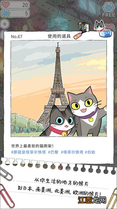 新手入门少走弯路 猫友圈猫咪的旅行攻略大全