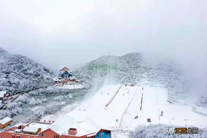 金佛山“萌虎”闹新春，滑雪泡温泉好热闹