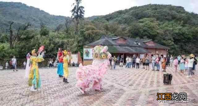 金佛山“萌虎”闹新春，滑雪泡温泉好热闹