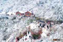 金佛山“萌虎”闹新春，滑雪泡温泉好热闹